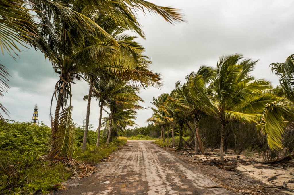 Hurricane Milton: Florida Prepares for Impact - Consumer Rewards